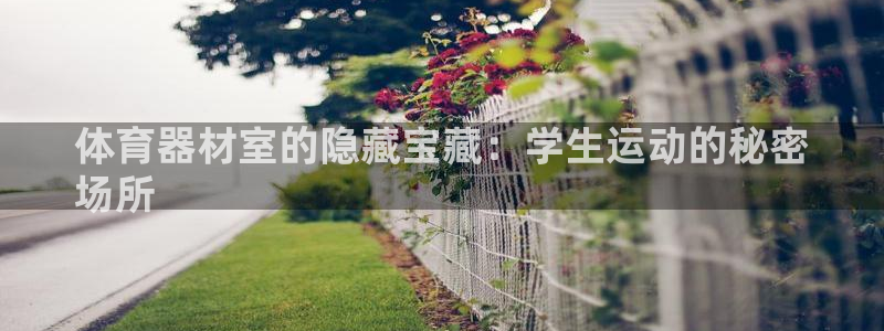 富联娱乐官方网站入口下载：体育器材室的隐藏宝藏：学生