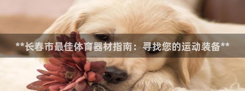 富联平台挂机：**长春市最佳体育器材指南：寻找您的运