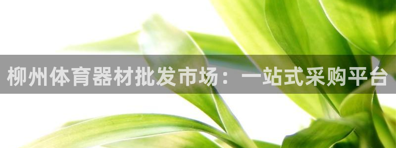 富联娱乐登录注册流程：柳州体育器材批发市场：一站式采