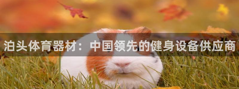 富联娱乐登录注册入口官网网址是多少：泊头体育器材：中