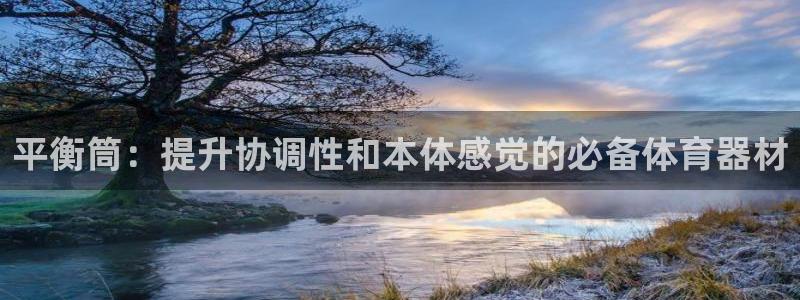富联平台招商：平衡筒：提升协调性和本体感觉的必备体育