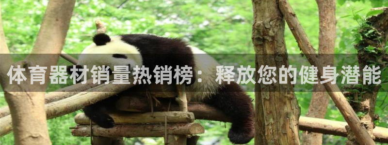 富联娱乐代理怎么做：体育器材销量热销榜：释放您的健身
