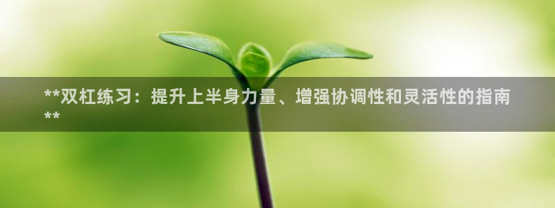 富联娱乐官方网站入口下载：**双杠练习：提升上半身力