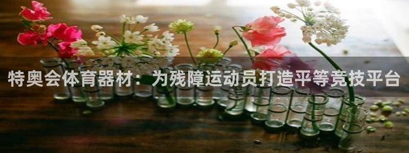 富联娱乐客服微信公众号：特奥会体育器材：为残障运动员