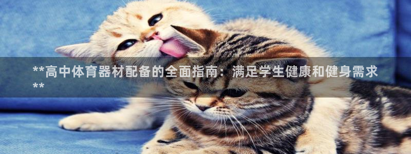 富联平台登录注册不了：**高中体育器材配备的全面指南