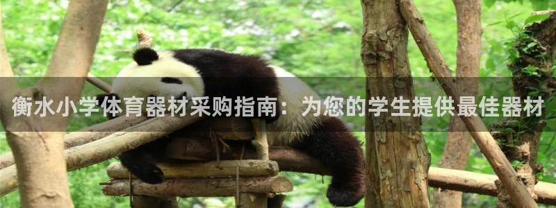 富联平台是什么平台：衡水小学体育器材采购指南：为您的