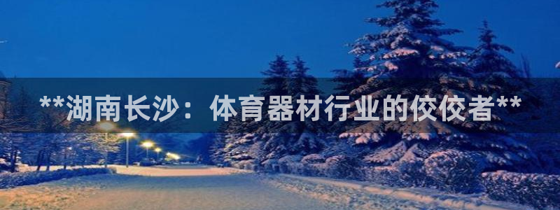 富联平台是什么：**湖南长沙：体育器材行业的佼佼者*