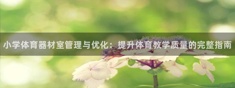 富联平台登录注册账号：小学体育器材室管理与优化：提升