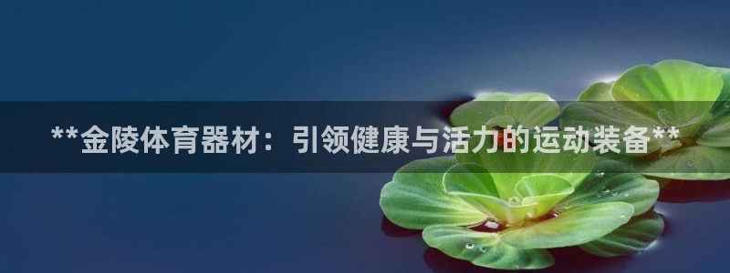 富联官网注册不了账号吗：**金陵体育器材：引领健康与