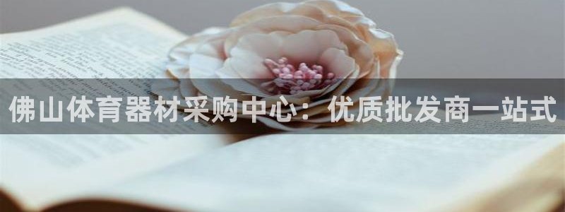 富联平台是什么：佛山体育器材采购中心：优质批发商一站