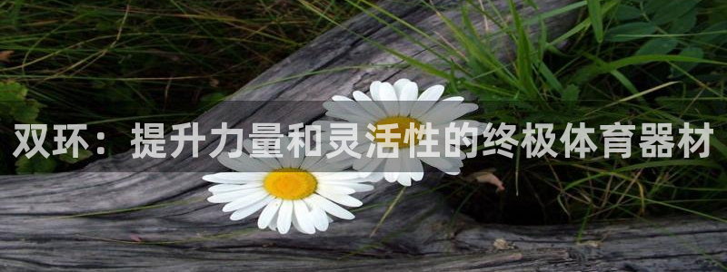 富联网是什么意思：双环：提升力量和灵活性的终极体育器