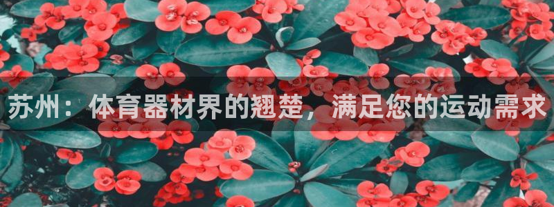 富联平台客 37oo735：苏州：体育器材界的翘楚，