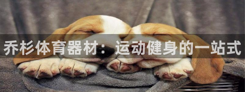 富联平台容7O777：乔杉体育器材：运动健身的一站式