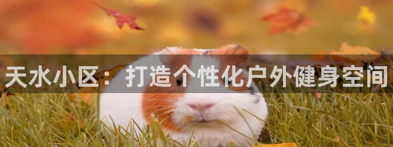 富联娱乐官方网站首页登录：天水小区：打造个性化户外健
