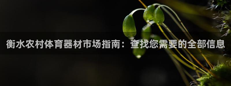 富联平台总代理电话：衡水农村体育器材市场指南：查找您