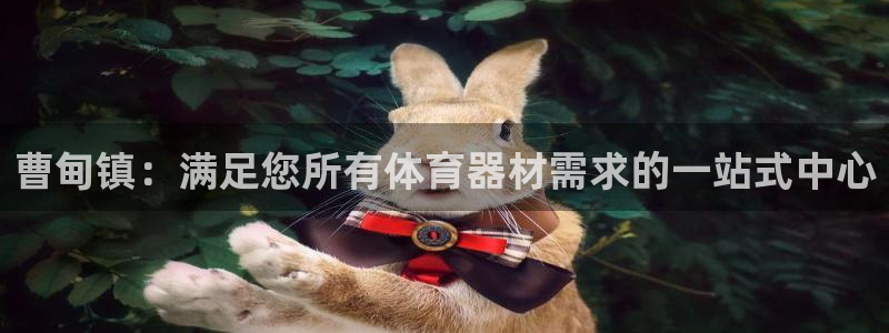 富联平台注册登录入口：曹甸镇：满足您所有体育器材需求