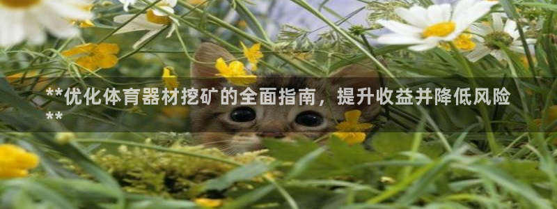 富联网是什么意思：**优化体育器材挖矿的全面指南，提