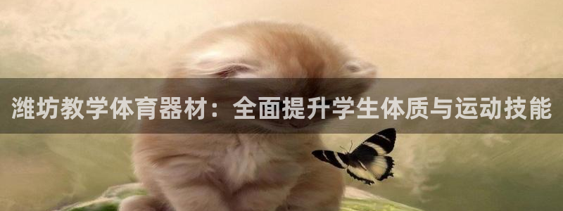 富联娱乐是骗局吗：潍坊教学体育器材：全面提升学生体质
