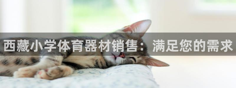 富联平台网站：西藏小学体育器材销售：满足您的需求