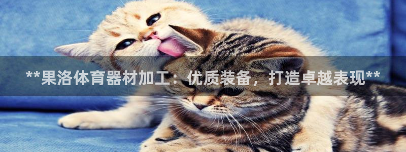 富联平台官网登录：**果洛体育器材加工：优质装备，打