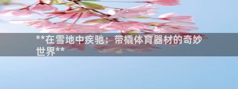 富联平台木 5o69I7：**在雪地中疾驰：带橇体育