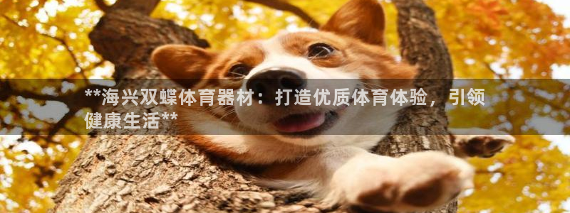 富联平台结7O777：**海兴双蝶体育器材：打造优质