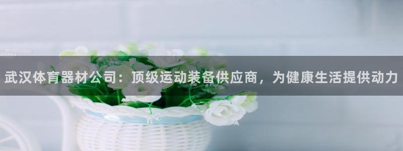 富联平台是什么平台：武汉体育器材公司：顶级运动装备供