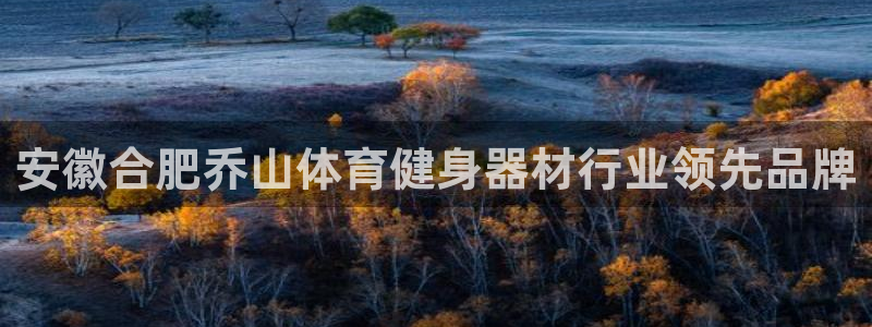 富联娱乐爱7O777：安徽合肥乔山体育健身器材行业领