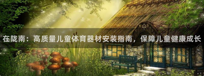 香港富联集团：在陇南：高质量儿童体育器材安装指南，保