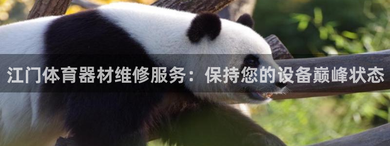 富联平台赢钱不给退怎么办理：江门体育器材维修服务：保