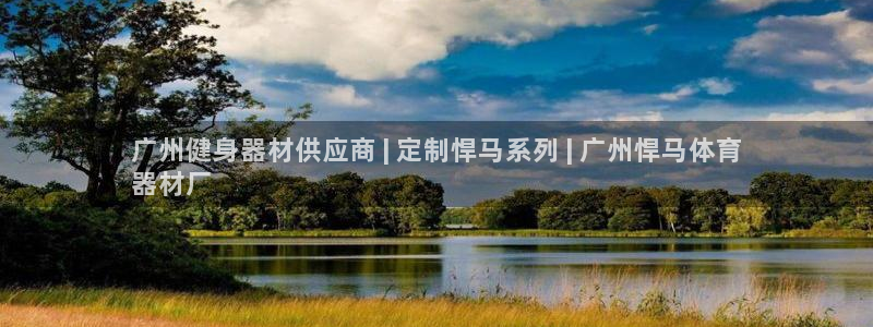 富联平台开户流程：广州健身器材供应商 | 定制悍马系