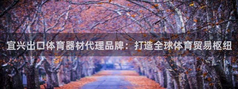 富联娱乐测速登录不上：宜兴出口体育器材代理品牌：打造