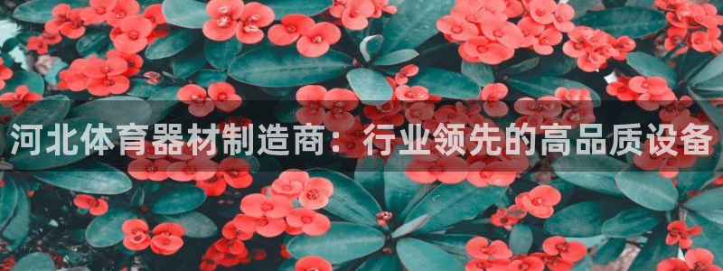富联官网注册流程视频：河北体育器材制造商：行业领先的