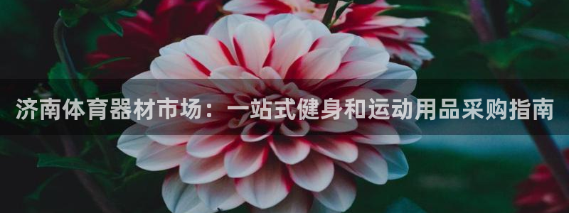 富联平台用户登陆：济南体育器材市场：一站式健身和运动