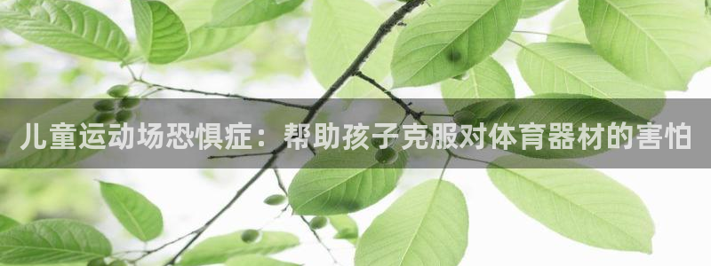 富联平台巴7O777：儿童运动场恐惧症：帮助孩子克服