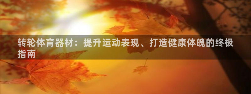 富联娱乐官方网站首页下载：转轮体育器材：提升运动表现