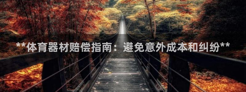 富联平台目 411O31 富联：**体育器材赔偿指南