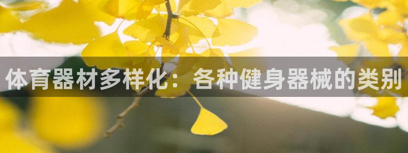 富联官方网站下载：体育器材多样化：各种健身器械的类别