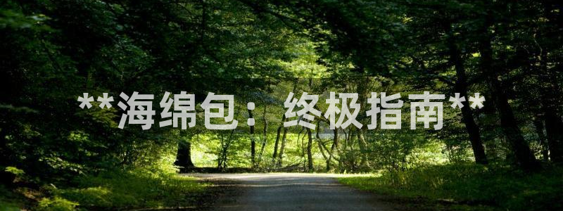 富联官方网站入口下载：**海绵包：终极指南**