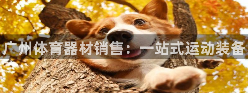 富联娱乐会员怎么取消：广州体育器材销售：一站式运动装