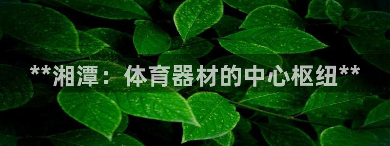 富联官方网站入口下载安卓：**湘潭：体育器材的中心枢