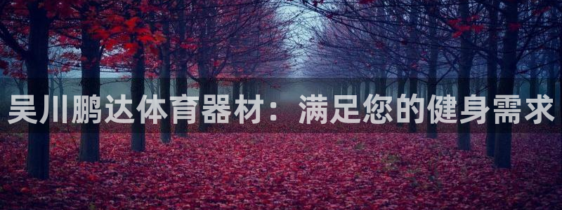 富联娱乐在线注册链接是什么软件：吴川鹏达体育器材：满