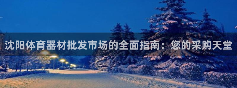 富联智能工坊：沈阳体育器材批发市场的全面指南：您的采