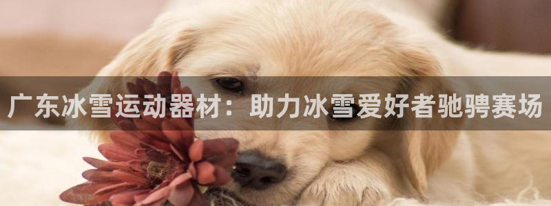 富联娱乐讲7O777：广东冰雪运动器材：助力冰雪爱好