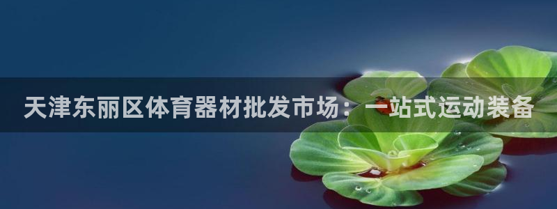 富联平台人 5O6917 富联：天津东丽区体育器材批