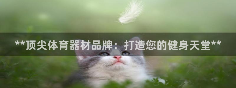 富联官方网站首页入口：**顶尖体育器材品牌：打造您的