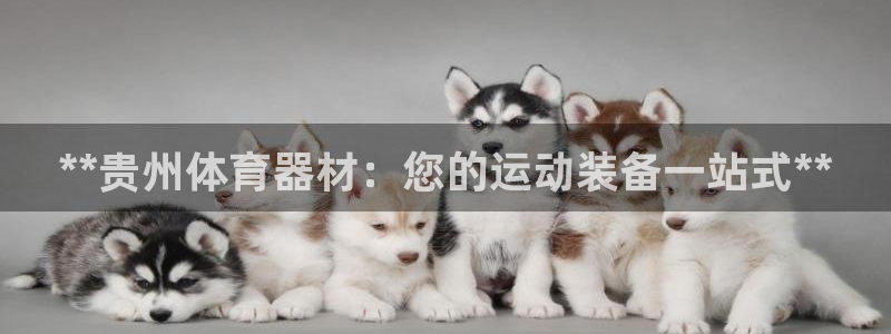 富联娱乐客服微信：**贵州体育器材：您的运动装备一站
