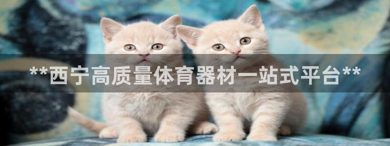 富联平台木 5o69I7：**西宁高质量体育器材一站