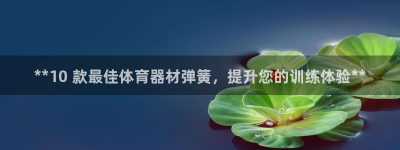 富联丰地产交易平台：**10 款最佳体育器材弹簧，提