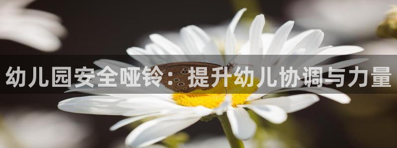 富联平台主管：幼儿园安全哑铃：提升幼儿协调与力量